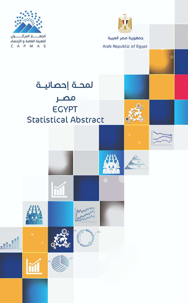 اللمحة الإحصائية